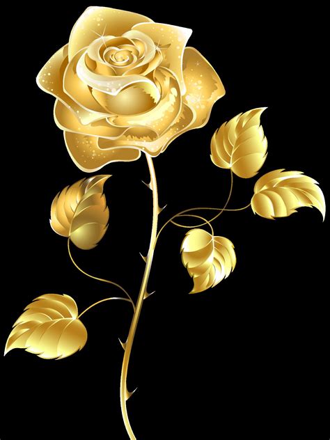 golden rose images|rose gold color flowers.